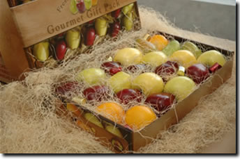 Fruit Box Cover