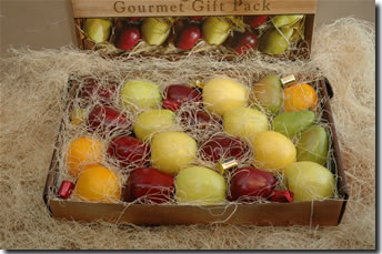 Fruit Box  Contents